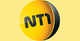 NT1