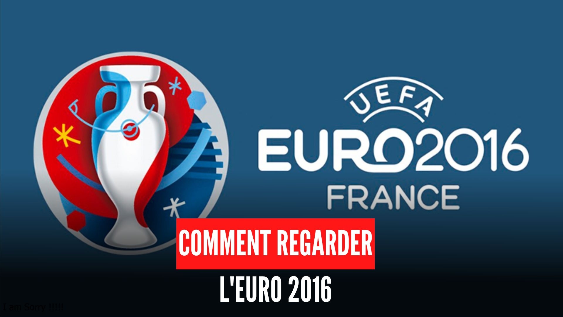 Comment regarder les matchs de l'Euro 2016 en direct et en replay sur internet ?