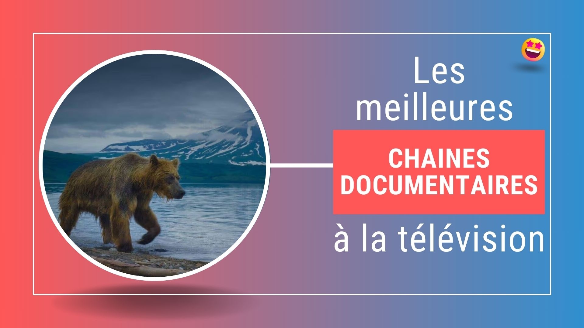 Les meilleures chaînes pour regarder des documentaires à la télévision